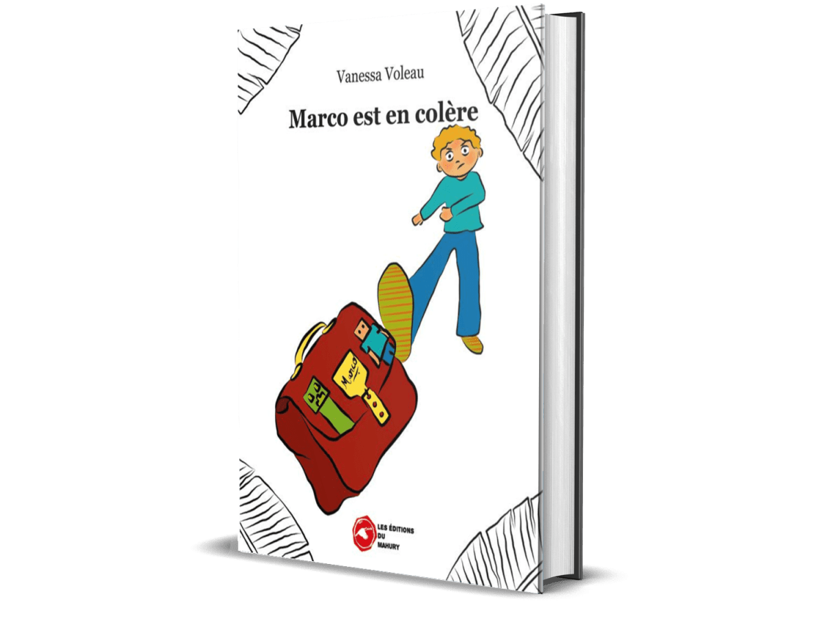 Apprivoiser la colère : un petit livre pour de grands&nbsp;apprentissages